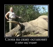Воспитательница смогла обезвредить ворвавшегося с ножом в детсад неадекватного мужчину