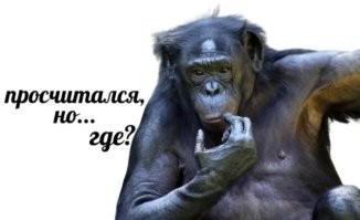 Голодный парень отобрал у курьера пиццу