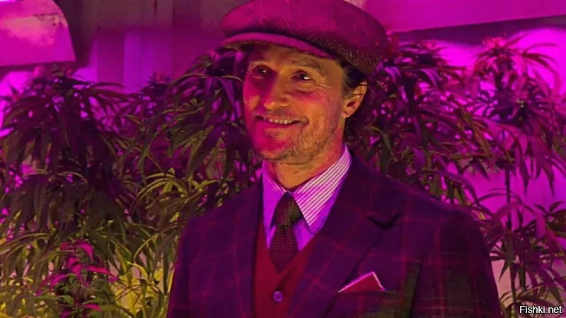 Наркоплантатор заявил полицейским, что на самом деле сажал помидоры