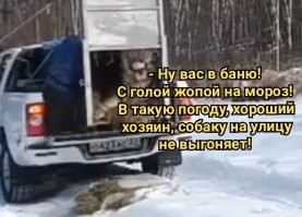 Тигрица долго не хотела возвращаться в дикую природу