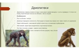 Поздно. Уже залез. 

Если бы человек никуда не лез, он бы ещё в восточной Африке сидел. Возможно, даже еще на дереве.