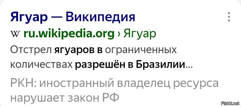 А если у него разрешение было?
