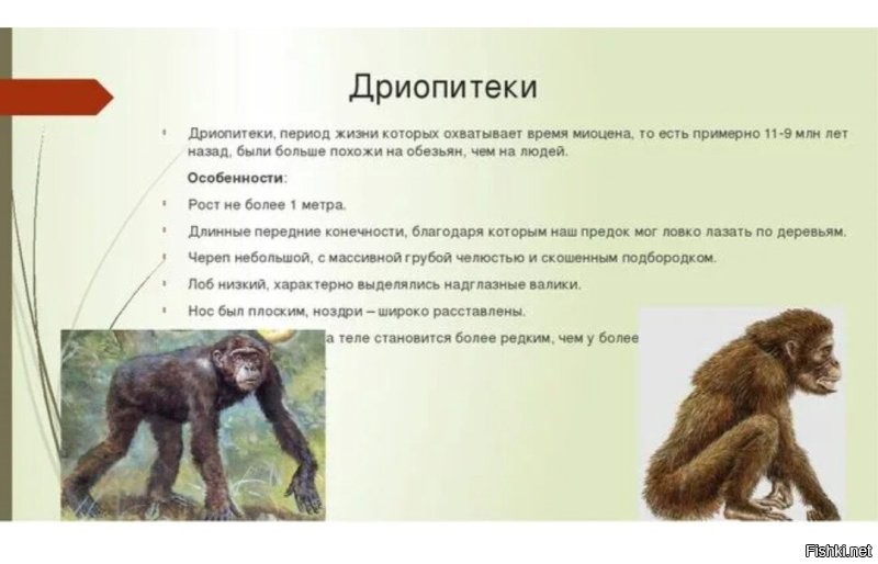 Поздно. Уже залез. 

Если бы человек никуда не лез, он бы ещё в восточной Африке сидел. Возможно, даже еще на дереве.