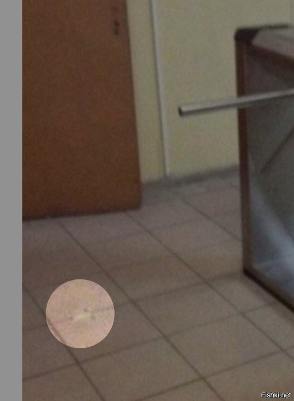 Скрины из соцсетей