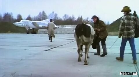 Свинья на дроне оставила без света жителей китайской деревни