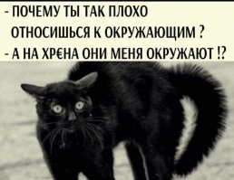 Скрины из соцсетей