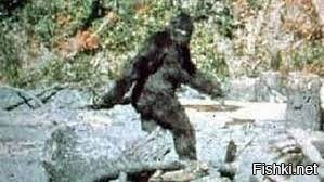 Солянка от 07.02.2026