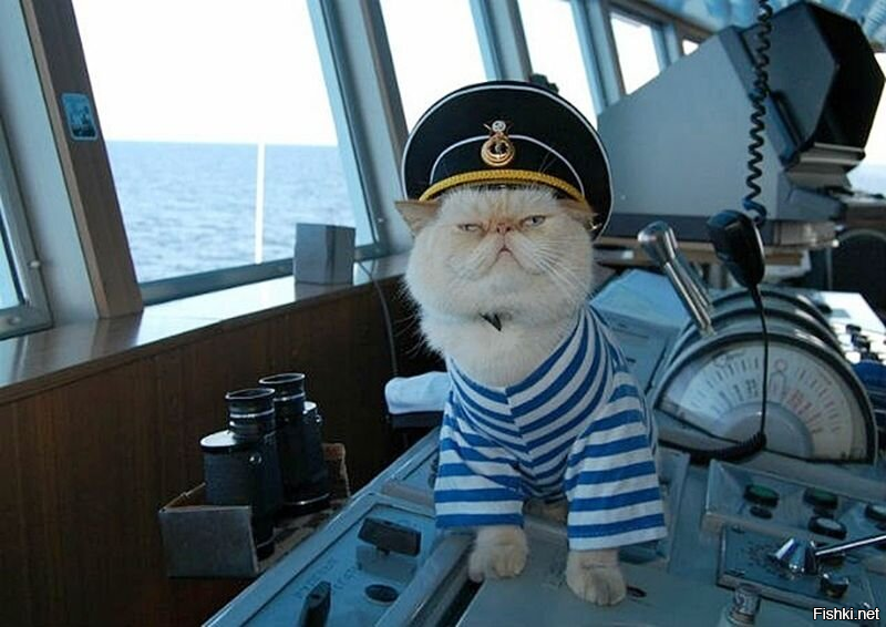 Навигация под контролем )