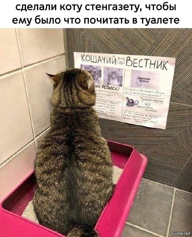 20 примеров смешных и грустных жизненных ситуаций, в которых день пошёл не по плану