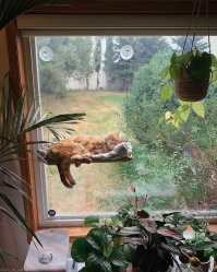 На общую тему&nbsp;