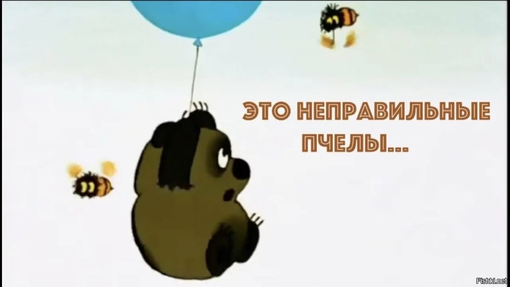 Солянка от 08.02.2026