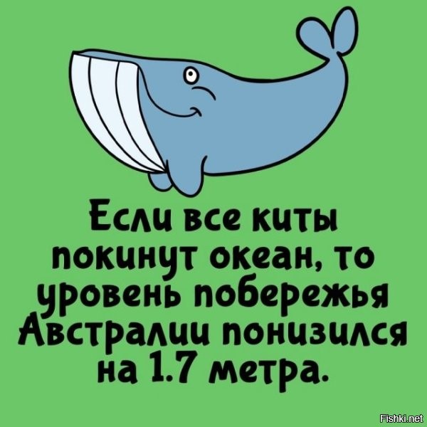 "- Собсна, вопрос: если всех китайцев утопить в озере Байкал, насколько поднимется уровень воды?
- Ну ,будем рассуждать логически, объём тела среднего человека порядка 0,1 кубометра (100,000 кубических сантиметров). население Китая на конец 2004 года состовляло приблизительно 1299880000 человек. пересчитав их объём, получаем, что общий объём китайцев 129988000 кубических метров. А объём Байкала 23000 кубических километров. (или 23000000000000 кубометров) в 177 раз больше.
1642 метра - максимальная глубина озера Байкал, следовательно, уровень воды поднимется на 9 метров."

Не моё.