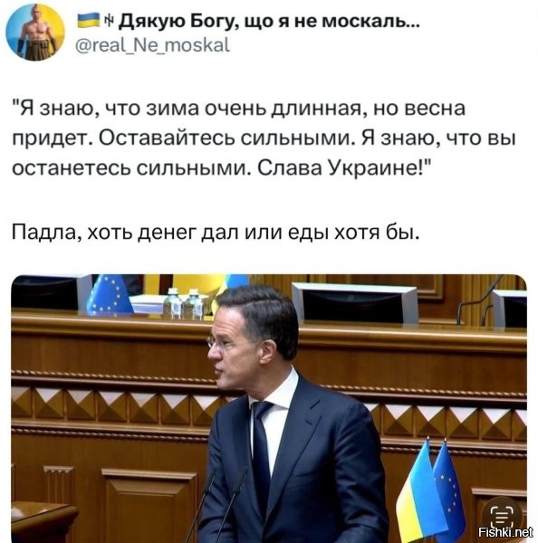 Денег... Еды... Наполнителя для кошачьих туалетов! Ну, или хотя бы просто пакетов.