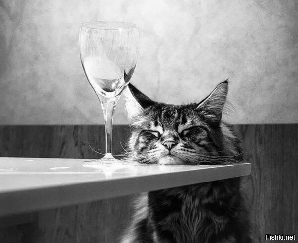 А завтра на работу, однако