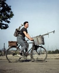 В первую очередь это дачник