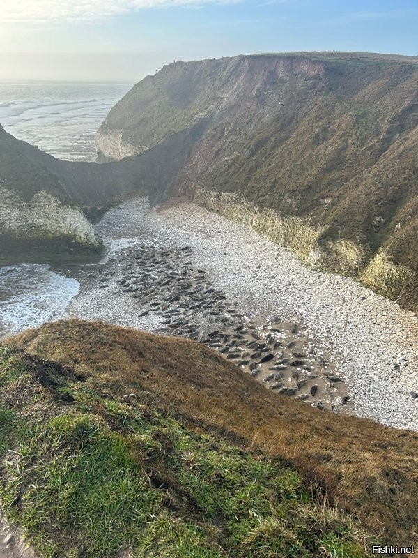 Смотри, что у нас есть, братан, всего 140км от моего дома...