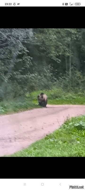 Летом вот такого тренера по бегу встретил.
