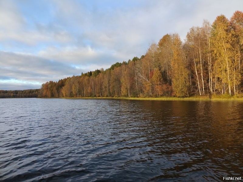 немного зимней романтики и тепла