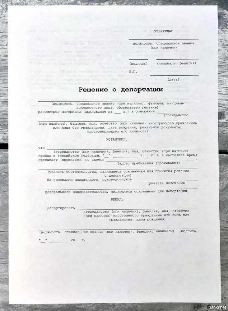 Лучший подарок
