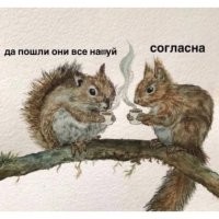 ️ Белка посетила футбольный матч