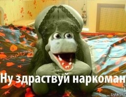 Биолог отправился в зимний лес за грибами