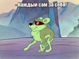 51.