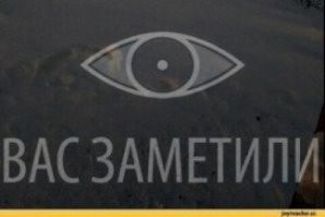 Вас обнаружили: кошка подсматривает за хозяйкой