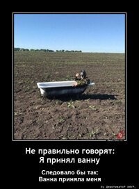 И когда уже, вас безграмотных, банить начнут...