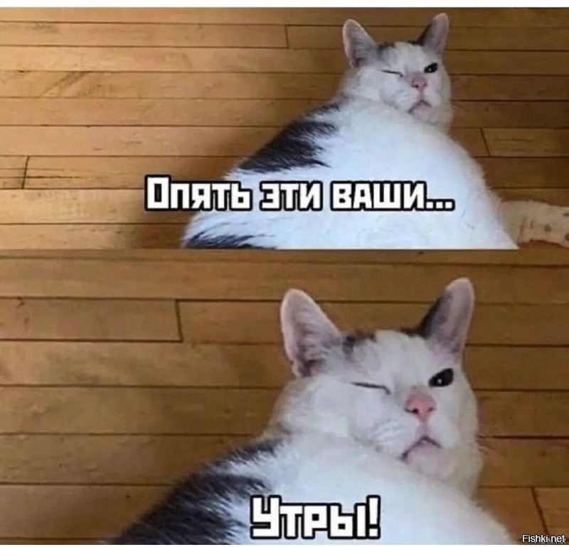 Доброго утра