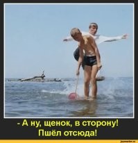 Во Флориде дельфин столкнул мужчину с сапа