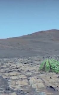 Принципы подождут: SpaceX меняет Марс на Луну ради контрактов с NASA