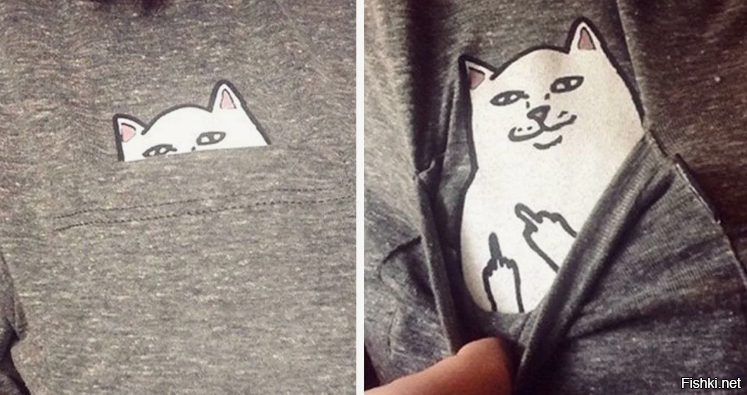 Солянка от 08.02.2026