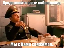 Вас обнаружили: кошка подсматривает за хозяйкой