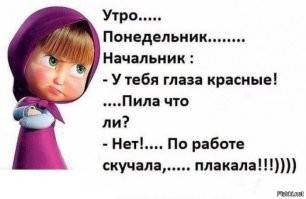 Скрины из соцсетей