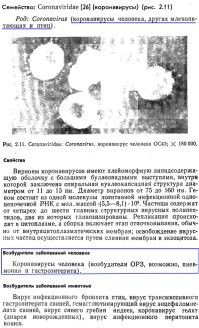 1. Газета от 1976 года

2. Скин из учебника по вирусологии 1989 года

3. Некоторая литература:

 - Закстельская Л. Я. и Щеболдов А. В. Коронавирусы человека и животных, М., 1977, библиогр.;
 - Mc Intоsh К. Coronaviruses, Curr. Top. Microbiol. Immunol., v. 63, p. 86, 1974; 
 - Tyrrell D. A. a. o. Coronaviruses, Nature (Lond.), v. 220, p. 650, 1968; 
 - Tyrrell D. A. a. o. Coronaviridae, Intervirology, y. 5, p. 76, 1975; 
 - Viral infections of humans, ed. by A. S. Evans, N. Y., 1976.

Живите теперь с этим