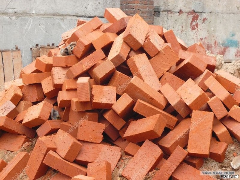 Рыбак отделался лёгким испугом