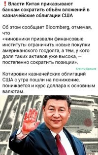 Политика и лишь малость не только