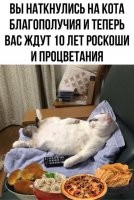 Не хватает валерьянки и рыбки