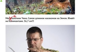 10 фотографий дикой природы, которые могут удивить любого