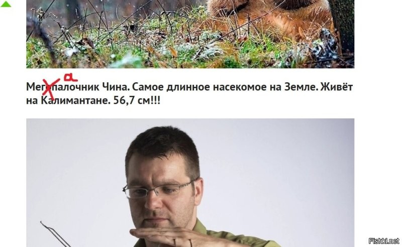 10 фотографий дикой природы, которые могут удивить любого