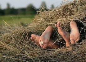 &nbsp;Намешалось&nbsp;