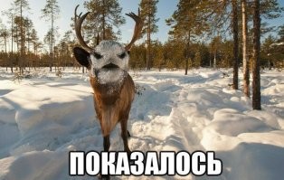18 снимков, демонстрирующих, что реальность представляет собой только одну из точек зрения