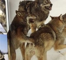 18 снимков, демонстрирующих, что реальность представляет собой только одну из точек зрения