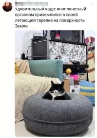 Явно голоден....