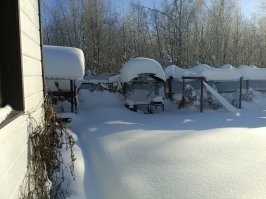 Хм... 10 февраля. Какая весна?