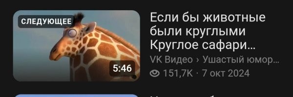 Надувной жираф перекрыл тоннель в Китае