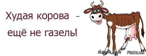 Солянка от 11.02.2026