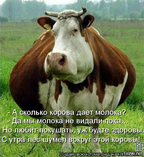 Солянка от 11.02.2026