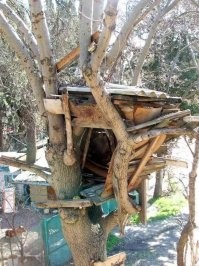 У меня такой. Без мам, пап и кредитов.