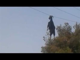 Дворник сорвался с крыши и повис на проводах